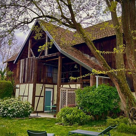 Appartamento Le Séchoir du Ried Rossfeld Esterno foto