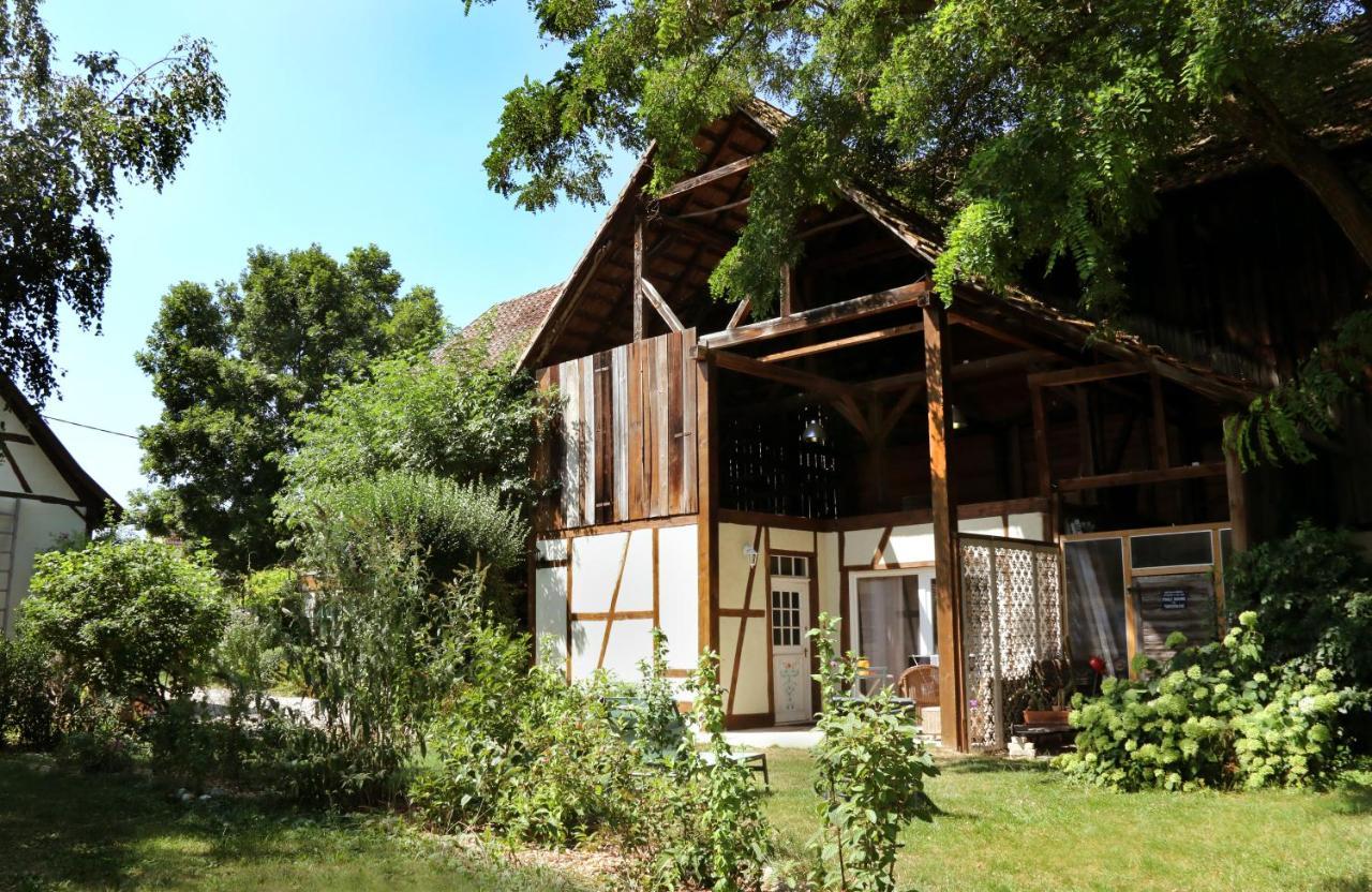 Appartamento Le Séchoir du Ried Rossfeld Esterno foto