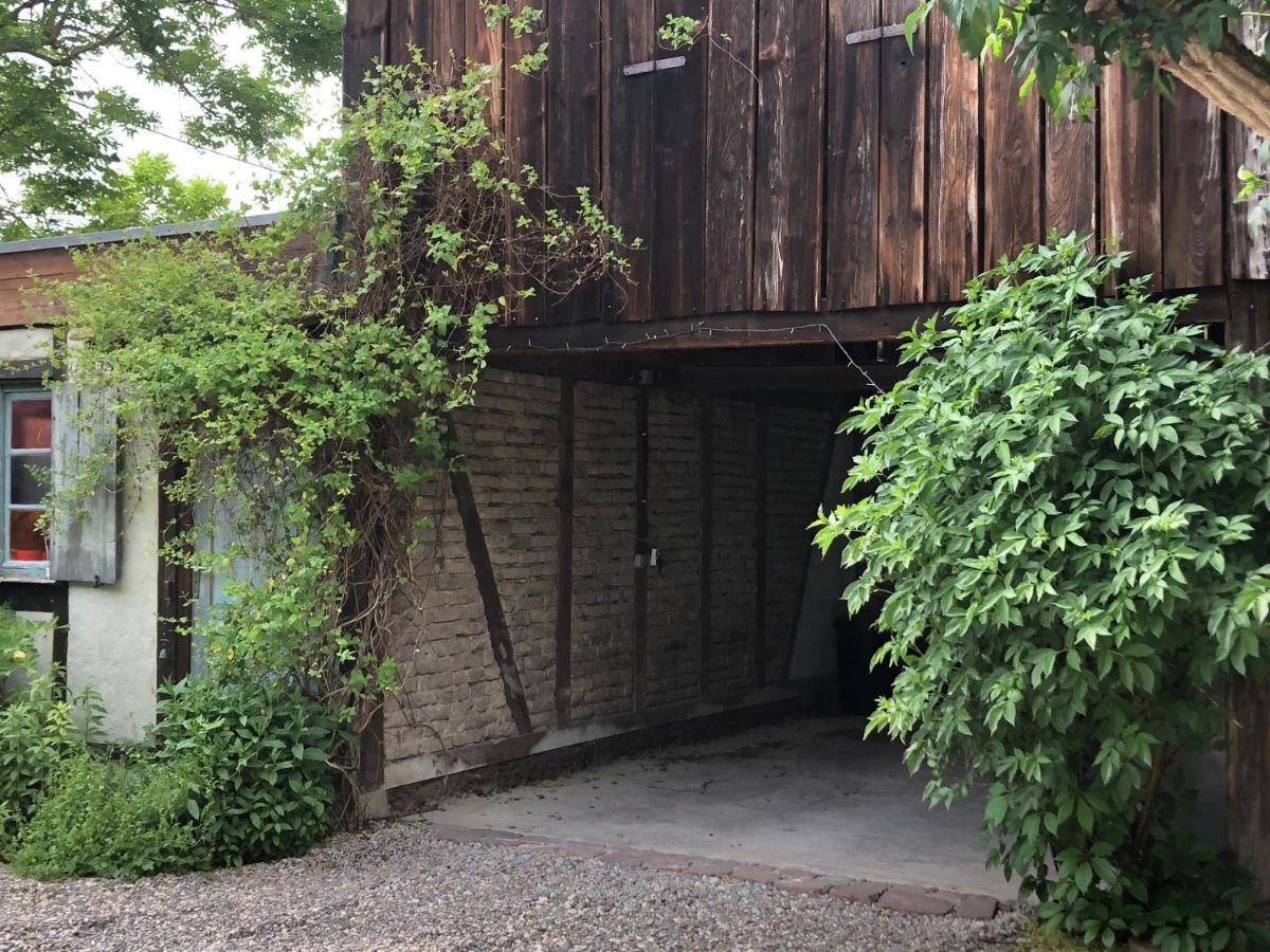 Appartamento Le Séchoir du Ried Rossfeld Esterno foto